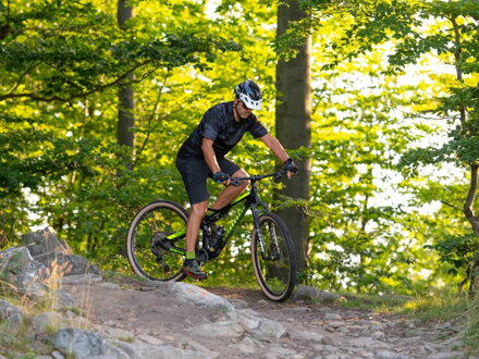 a-ray29team 02 viewde
