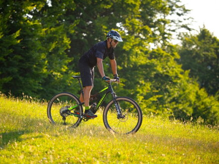 a-ray29team 04 viewde
